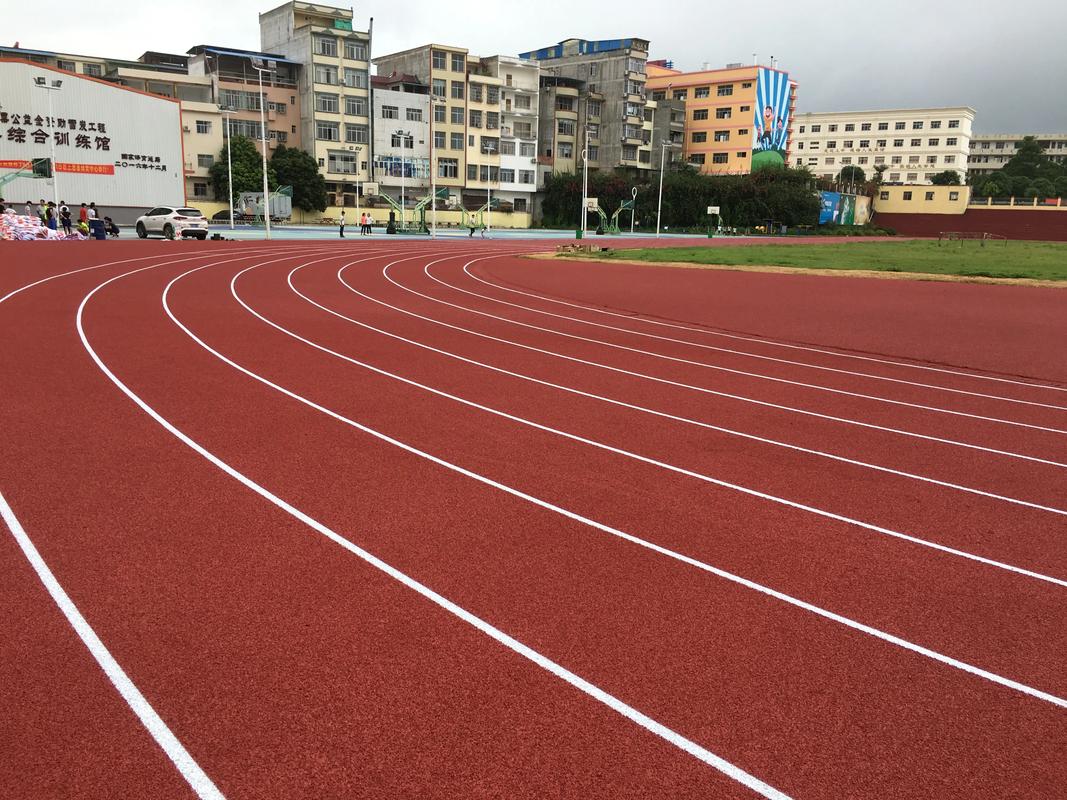 六盘水市塑胶跑道塑胶跑道材料 - 厂家